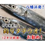 竹中水産の釣の太刀魚 約2キロ