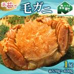 浜ゆで毛ガニ×1尾