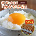 放し飼いたまご かぐやひめ 120個