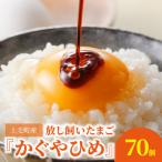 放し飼いたまご かぐやひめ 70個