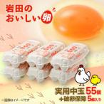 ふるさと納税 榛東村 岩田のおいしい卵　実用中玉55個+破卵保障5個 (10個入り×6パック)