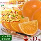 今村農園のおひさまきらりん 約10kg
