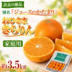 今村農園のおひさまきらりん 約3.5kg