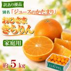 今村農園のおひさまきらりん 約5kg