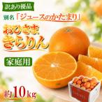 今村農園のおひさまきらりん 約10kg