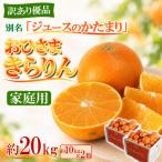 今村農園のおひさまきらりん 約20kg