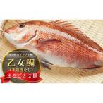 乙女鯛 まるごと2匹