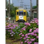 万葉線7000形電車貸し切り 高岡駅~越ノ潟駅区間内:片道
