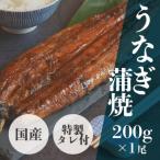 活うなぎ蒲焼 200g×1尾