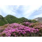 ガイドと楽しむタデ原湿原から指山 登山散策チケット