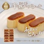 ふるさと納税 都留市 半熟チーズケーキ(約40g×10個入)