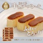 ふるさと納税 都留市 半熟チーズケーキ2箱(約40g×10個×2箱)