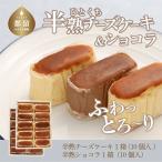 ふるさと納税 都留市 半熟チーズケーキ(1箱)半熟ショコラ(1箱)各約40g×10個入り