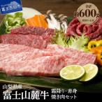 霜降り 赤身焼き肉セット 計約600g 焼肉