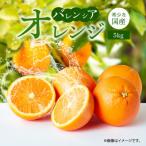 秀品 希少な バレンシアオレンジ 5kg