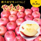 ご 増田地区で発見された品種 横手産早生ふじりんご 約5kg
