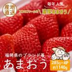 ふるさと納税 豊前市 【先行受付 2026年1月発送開始】こだわりの濃厚あまおう 285g×4パック【福岡県産あまおう苺】