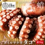 茹でたて ボイルヤナギタコ 約1kg
