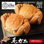 前浜産 毛ガニ 2杯