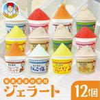 奄美産素材使用ジェラート 12個入り