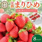 ふるさと納税 御坊市 農家直送 完熟まりひめ(和歌山県オリジナルブランドいちご)8P(2026年3月下旬より順次発送)