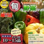 季節に出会える 旬の野菜セット10~15品