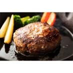 肉のプロが厳選素材で手作り 極旨ハンバーグ750g 150g×5個