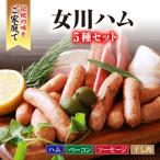 絶品女川ハム&ソーセージ 伝統の味をご家庭で