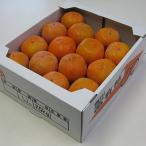 富有柿 7.5kg