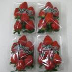 ショッピングふるさと納税 いちご ふるさと納税 観音寺市 いちご「さぬきひめ」1kg