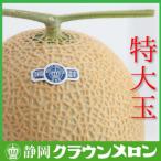 ふるさと納税 袋井市 【通年出荷】クラウンメロン(白等級)特大玉 1玉