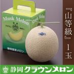 ふるさと納税 袋井市 【通年出荷】クラウンメロン『山等級』 1玉
