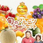 ふるさと納税 御坊市 フルーツ王国和歌山の フルーツセット