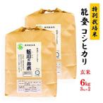 ふるさと納税 七尾市 【令和7年産】能登のコシヒカリ　飯川のお米　6kg(玄米3kg×2袋)
