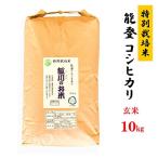 ふるさと納税 七尾市 【令和7年産】能登のコシヒカリ　飯川のお米　10kg(玄米10kg×1袋)