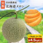 ふるさと納税 上川町 【2026年夏発送】岸田農園産 北海道メロン 3玉入り(サイズ:1玉1.5kg以上)【202】
