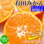 和歌山有田みかん約10kg