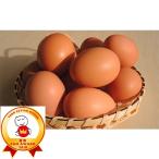 fu.... налог Nagano город flat ...... Tama .40 штук 