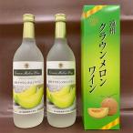遠州クラウンメロンワイン 720ml×2本