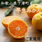 早生みかん 5kg