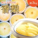 ご 希少品種 大玉でみずみずしい和梨 増田産