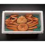 新湊産紅ズワイガニ 中サイズ約600g×2尾