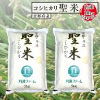産コシヒカリ 聖米 玄米 5kg×2袋