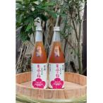 太宰府梅酒 東風の梅 720ml×2本セット