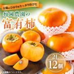 ふるさと納税 橋本市 【先行予約:2026年配送】太陽の光をたっぷり浴びた松岡農園の富有柿(2L　12個)