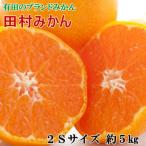 ふるさと納税 湯浅町 先行受付【ブランドみかん】田村みかん約5kg(2Sサイズ・秀品)2026年11月下旬より順次発送