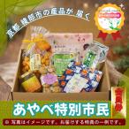 綾部のふるさと応援団 あやべ特別市民 会員券