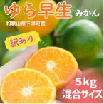 5kg