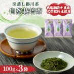 自然栽培茶 化学肥料 農薬未使用 深蒸し掛川茶100g×3袋