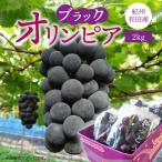 ふるさと納税 湯浅町 <先行受付>紀州有田産ブラックオリンピア(ハチミツぶどう)　約2kg
